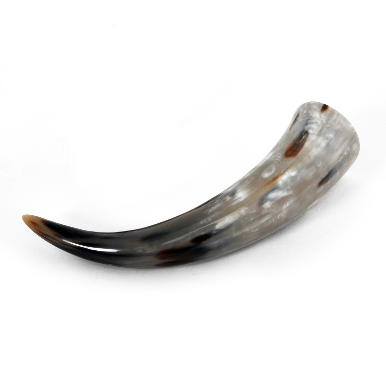 Drinking Horn
